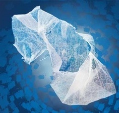 Plastic bags